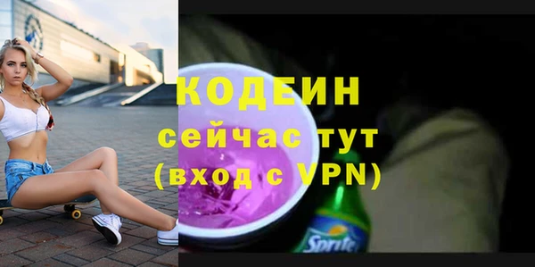 соль ск Вяземский