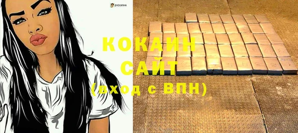 соль ск Вяземский