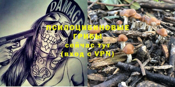 тгк Вязники
