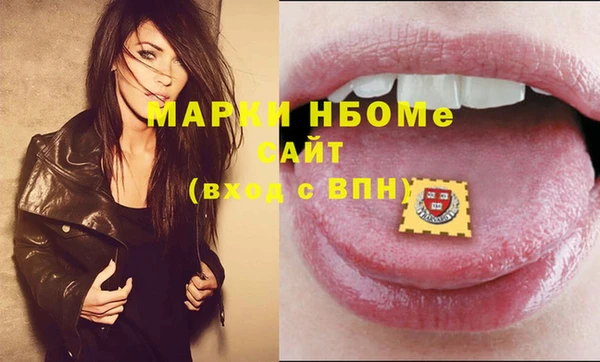 соль ск Вяземский