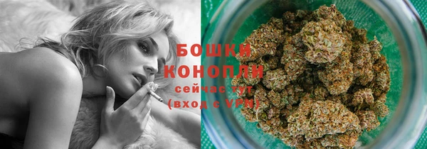 соль ск Вяземский