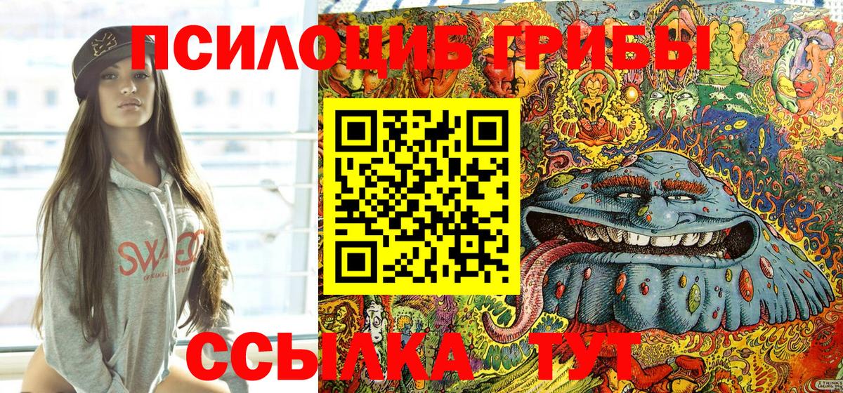 купить наркотик  Маркс  Галлюциногенные грибы ЛСД  Псилоцибиновые грибы GOLDEN TEACHER 